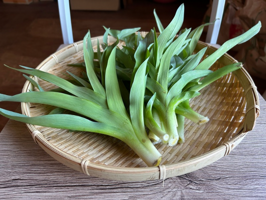 かんぞう