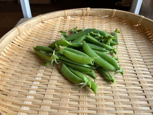 スナップえんどう